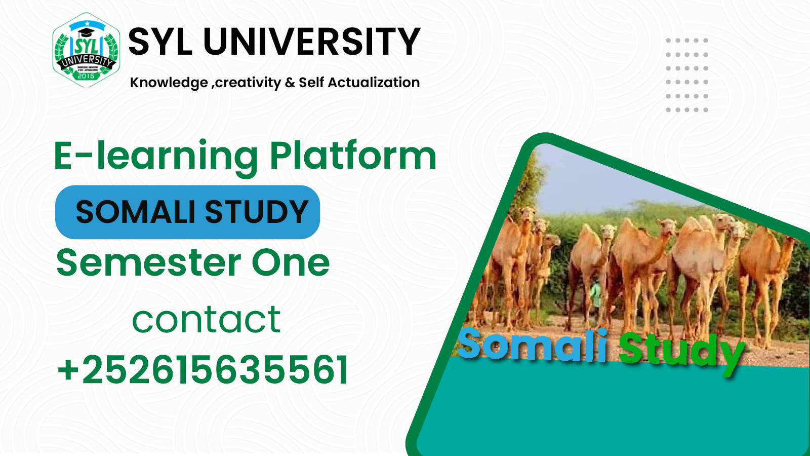 Somali Study