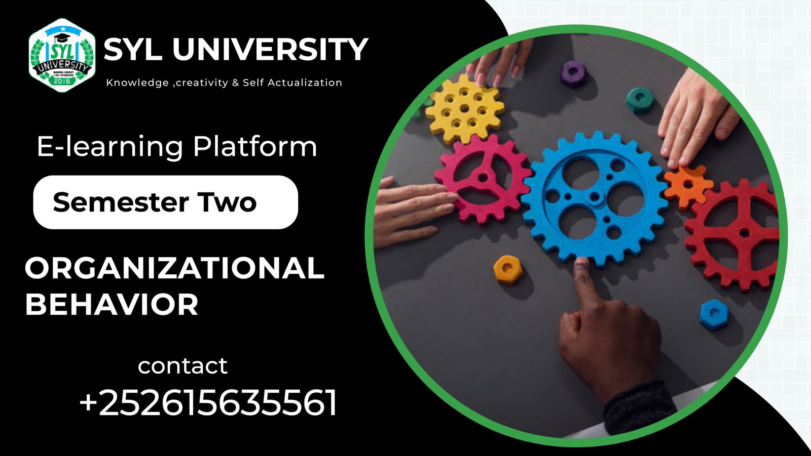 Organizational Behavior