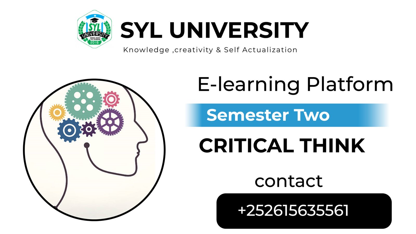 Critical thinking