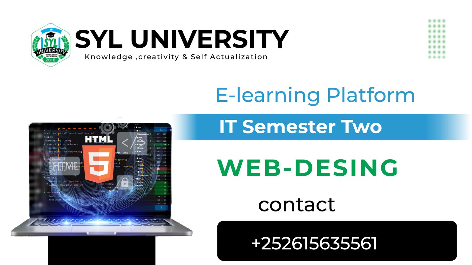 Web Design